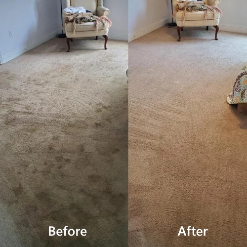 Carpet Cleaning Brisbane Results