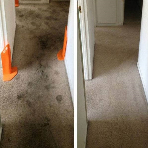 Carpet Cleaning Brisbane Services Near You