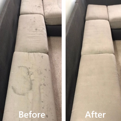 Professional Upholstery Cleaning Brisbane